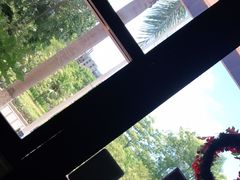 -拾年