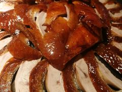 -守柴炉烤鸭(科华中路王府井店)