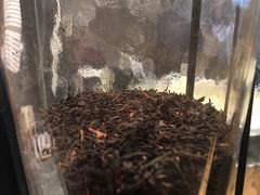 -喜茶(深圳东门1234店)
