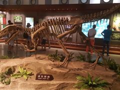 -自贡恐龙博物馆