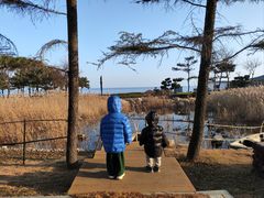 -青岛海泉湾度假区温泉