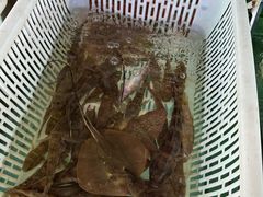 -沙头涌渔栏海鲜餐厅