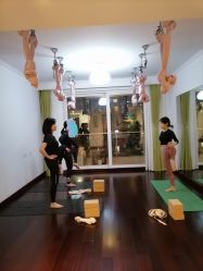 -Yvon yoga 瑜伽·精准体态管理中心