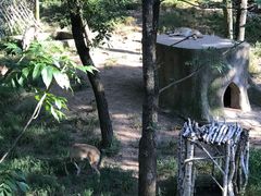 -哈尔滨北方森林动物园