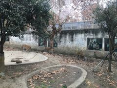 -成都动物园