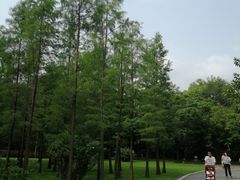 -晓港公园