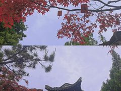 -个园