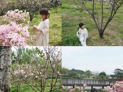 -王借岗森林公园