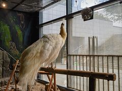 -绿色星球动物主题公园