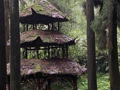 -青城山