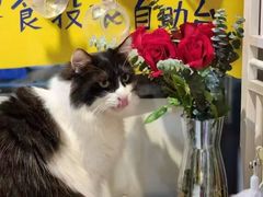 -平行世界·猫咖(首经贸店)