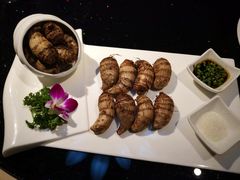 清蒸毛芋头-尚香汤包文博馆(合兴路店)