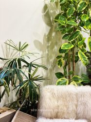 -J Eleven型人坊旗舰店