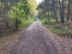 -铁山坪森林公园