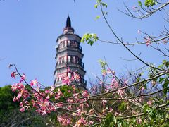 -顺峰山公园