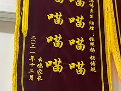 -中农国际动物医院24小时·猫科·骨科·急重症中心