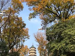 -灵谷景区