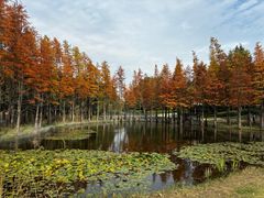 -南京银杏湖乐园