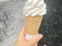 -麦丽丝红油辣椒冰淇淋(江家巷店)