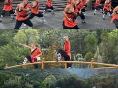 -禅宗少林·音乐大典