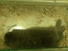 -龙猫仔乐园(惠福东路店)