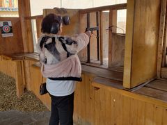 -猎鹰谷实弹射击俱乐部