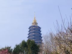 -红梅公园