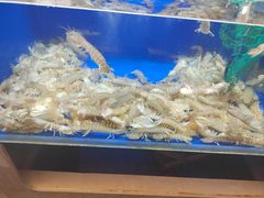 -船梆煮•蒸汽海鲜·生腌干蒸(五四广场店)