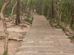 -紫金山山顶公园