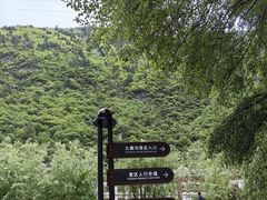 -九里香(三世传承店)