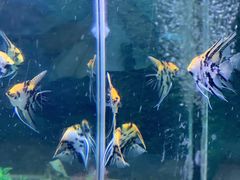 -常州海昌海洋探索馆