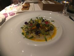 -蝶舍·MAISON PAPILLON