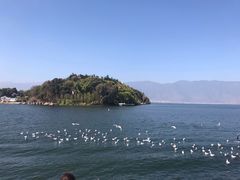 -南诏风情岛