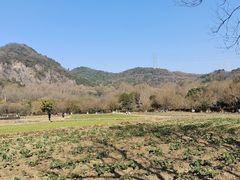 -八卦田遗址公园