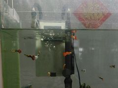-中田·健身+普拉提(北京通州运河店)