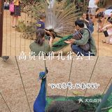 深圳|假日出游·野生动物园里的憨憨们在等你👋🏻