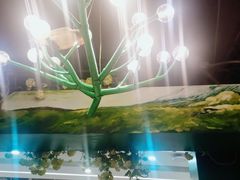 -青一色火锅(摩根店)