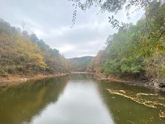 -青龙山国家森林公园