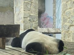 -无锡动物园·太湖欢乐园
