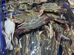 -高佳庄·舟山海鲜(海景旗舰店)