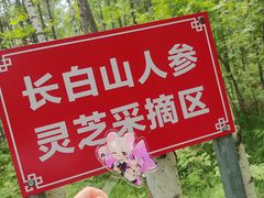 -峡谷浮石林景区