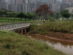 -沐仙湖湿地公园