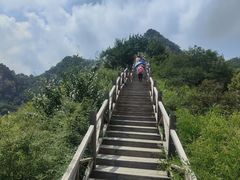 -大岭沟猕猴桃谷风景区