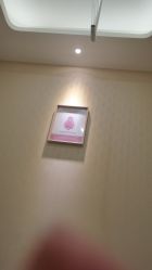 -佛山艺美医疗美容·整形·美肤·塑形