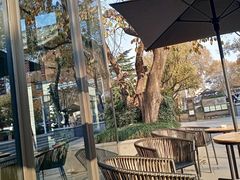-星巴克臻选(扬州瘦西湖文化广场店)