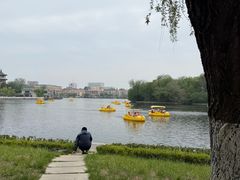 -莱西月湖公园