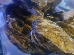 -海鲜时间自助餐厅(如皋万达广场店)