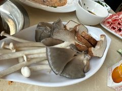 -百友顺涮肉城(故城东路店)