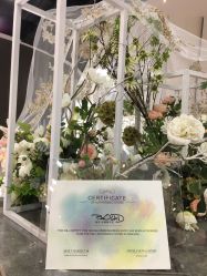 -南京宝娜嫁衣婚纱礼服馆(中央路店)