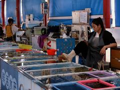 -南沙十九涌渔人码头-南门